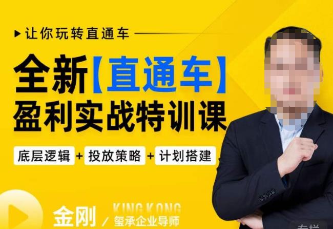 玺承·全新直通车盈利实战特训课,从底层逻辑详细拆解,从底层,策略到搭建,让你玩转直通车-项目资源库