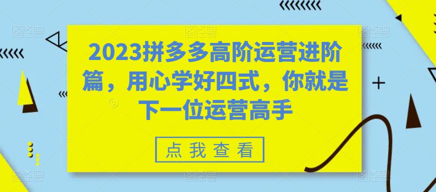 2023拼多多高阶运营进阶篇，用心学好四式，你就是下一位运营高手-项目资源库