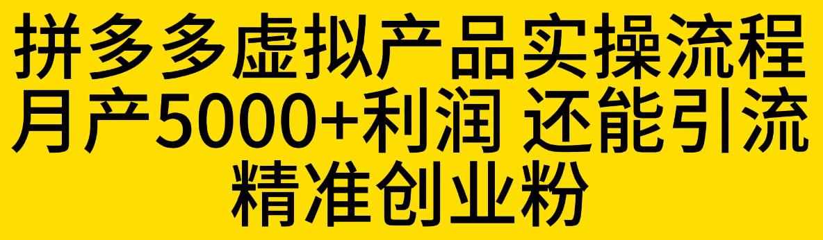 拼多多虚拟产品实操流程，月产5000+利润，还能引流精准创业粉【揭秘】-项目资源库