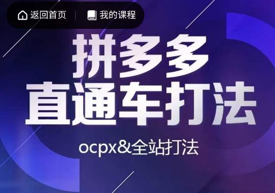 互力·拼多多直通车打法，ocpx&全站打法-项目资源库