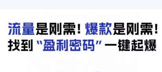 电商盈利精品课：6大盈利密码让产品更好卖，流量是刚需！爆款是刚需！找到”盈利密码”一键起爆-项目资源库