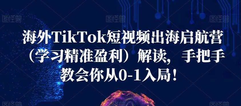 海外TikTok短视频出海启航营(学习精准盈利)解读,手把手教会你从0-1入局!