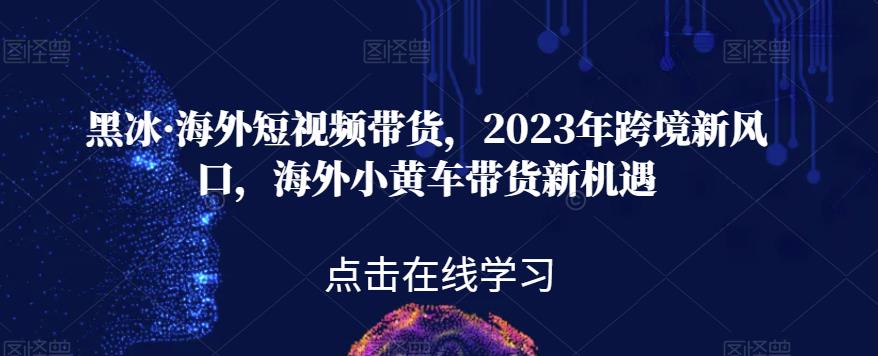 黑冰·海外短视频带货，2023年跨境新风口，海外小黄车带货新机遇-项目资源库