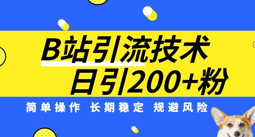 B站引流技术：每天引流200精准粉，简单操作，长期稳定，规避风险-项目资源库