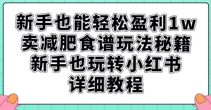 新手也能轻松盈利1w，卖减肥食谱玩法秘籍，新手也玩转小红书详细教程【揭秘】-项目资源库