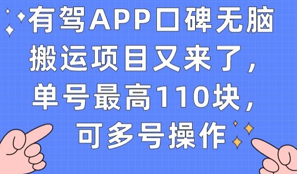 有驾APP口碑无脑搬运项目又来了，单号最高110块，可多号操作-项目资源库