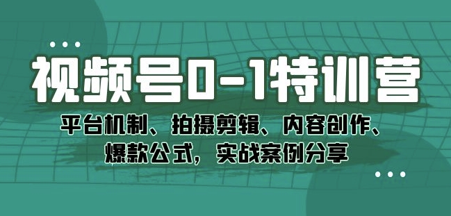 视频号0-1特训营:平台机制、拍摄剪辑、内容创作、爆款公式,实战案例分享