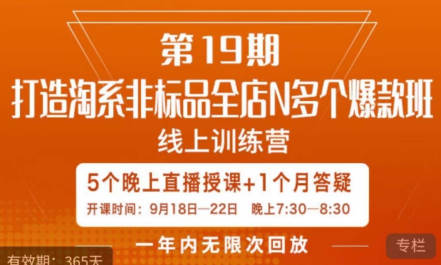 打造淘系非标全店N多个爆款线上课,5天直播课