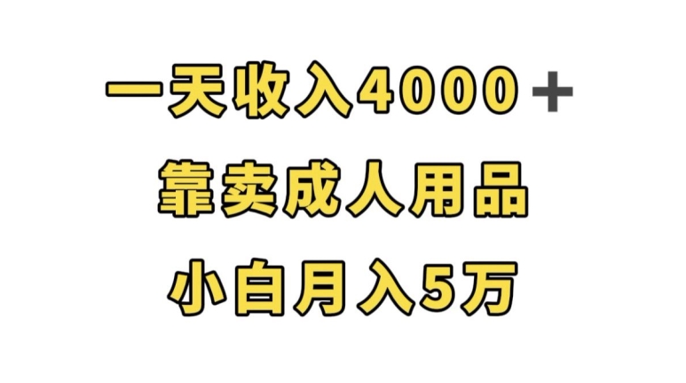 一天收入4000+,靠卖成人用品,小白轻松月入5万【揭秘】