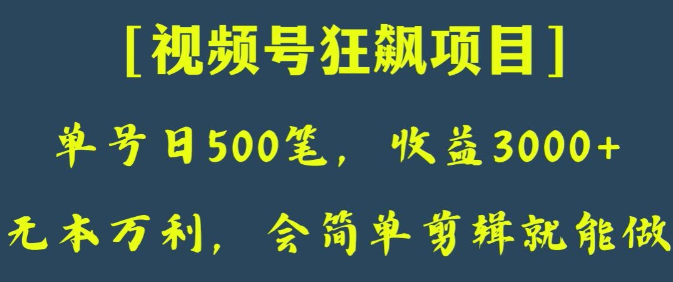 日收款500笔，纯利润3000+，视频号狂飙项目，会简单剪辑就能做【揭秘】-项目资源库