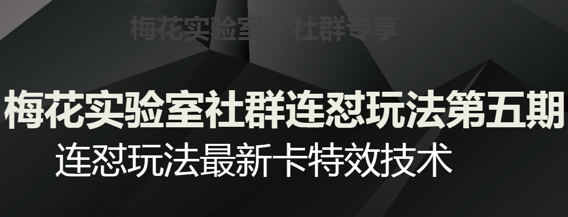 梅花实验室社群连怼玩法第五期，视频号连怼玩法最新卡特效技术-项目资源库