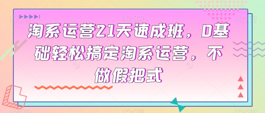 淘系运营21天速成班，0基础轻松搞定淘系运营，不做假把式-项目资源库