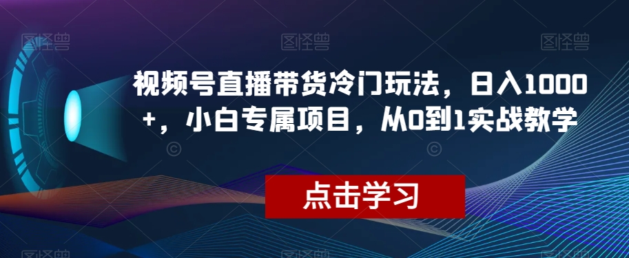 视频号直播带货冷门玩法，日入1000+，小白专属项目，从0到1实战教学【揭秘】-项目资源库