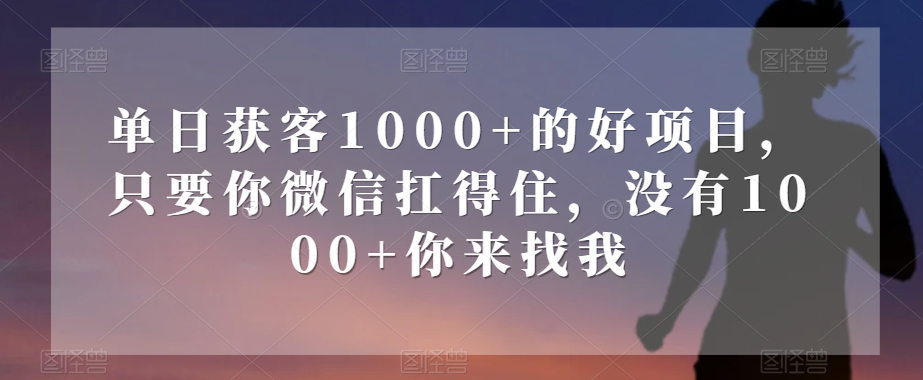 单日获客1000+的好项目，只要你微信扛得住，没有1000+你来找我【揭秘】-项目资源库