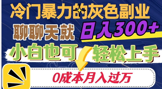 冷门暴利的副业项目，聊聊天就能日入300+，0成本月入过万【揭秘】-项目资源库