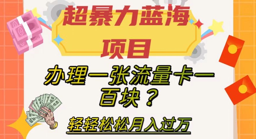 超暴力蓝海项目,办理一张流量卡一百块?轻轻松松月入过万,保姆级教程【揭秘】