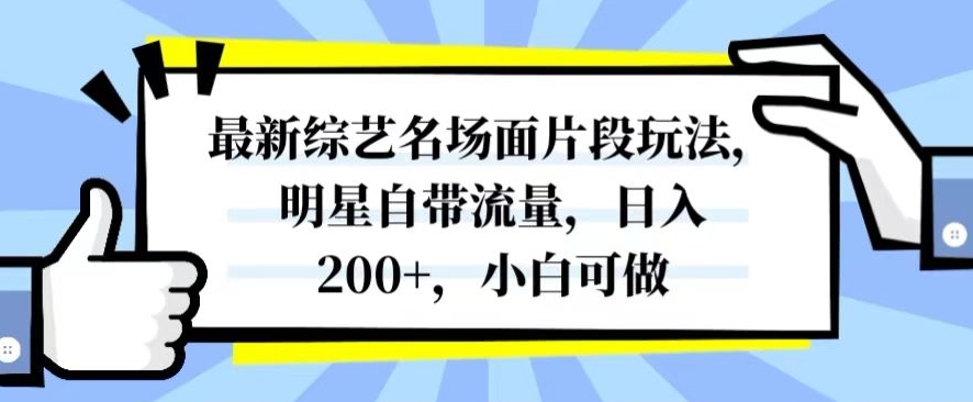 最新综艺名场面片段玩法，明星自带流量，日入200+，小白可做【揭秘】-项目资源库
