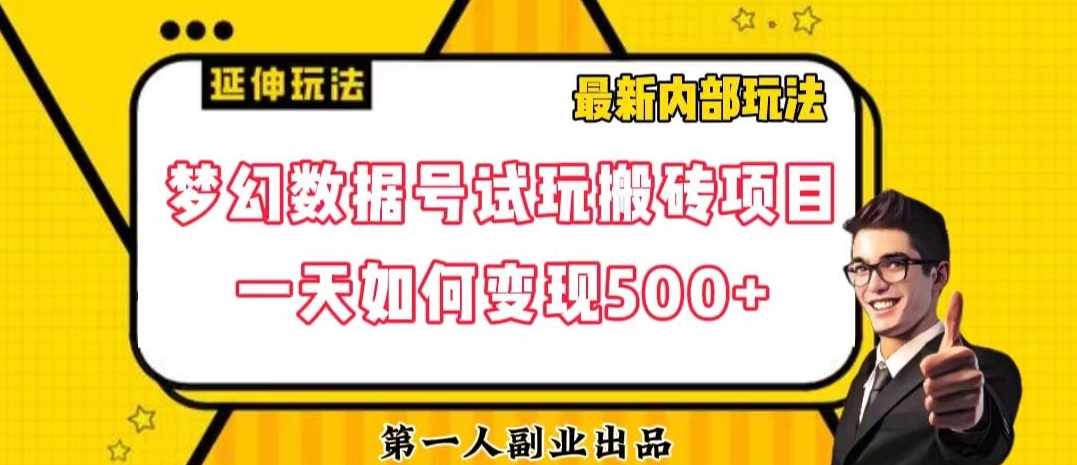 数据号回归玩法游戏试玩搬砖项目再创日入500+【揭秘】-项目资源库