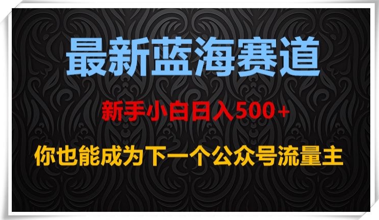 最新蓝海赛道，新手小白日入500+，你也能成为下一个公众号流量主【揭秘】-项目资源库