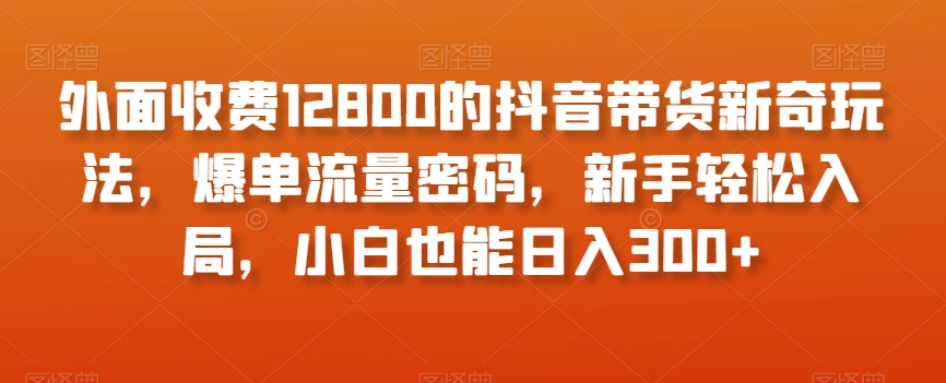 外面收费12800的抖音带货新奇玩法，爆单流量密码，新手轻松入局，小白也能日入300+【揭秘】-项目资源库