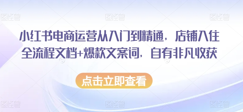 小红书电商运营从入门到精通,店铺入住全流程文档+爆款文案词,自有非凡收获