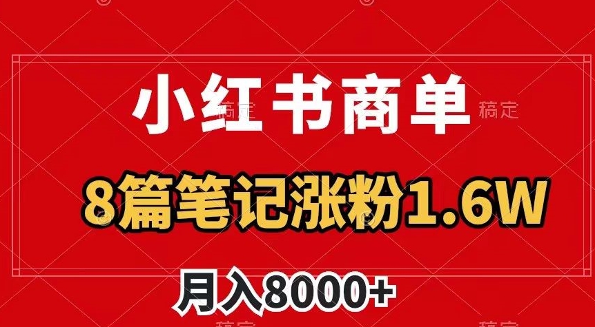 小红书商单最新玩法，8篇笔记涨粉1.6w，作品制作简单，月入8000+【揭秘】-项目资源库