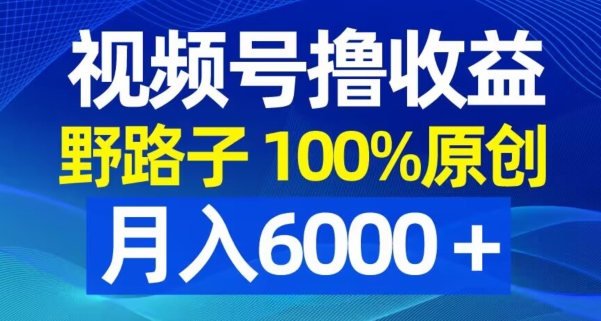 视频号野路子撸收益，100%原创，条条爆款，月入6000＋【揭秘】-项目资源库