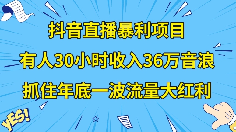 抖音直播暴利项目，有人30小时收入36万音浪，公司宣传片年会视频制作，抓住年底一波流量大红利【揭秘】-项目资源库