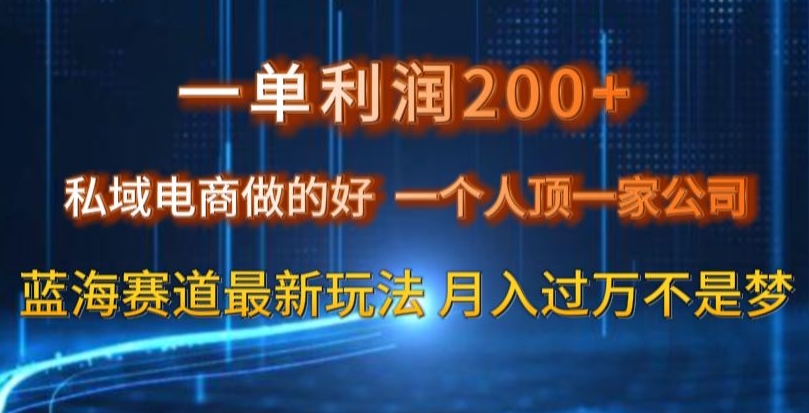 一单利润200私域电商做的好，一个人顶一家公司蓝海赛道最新玩法【揭秘】-项目资源库