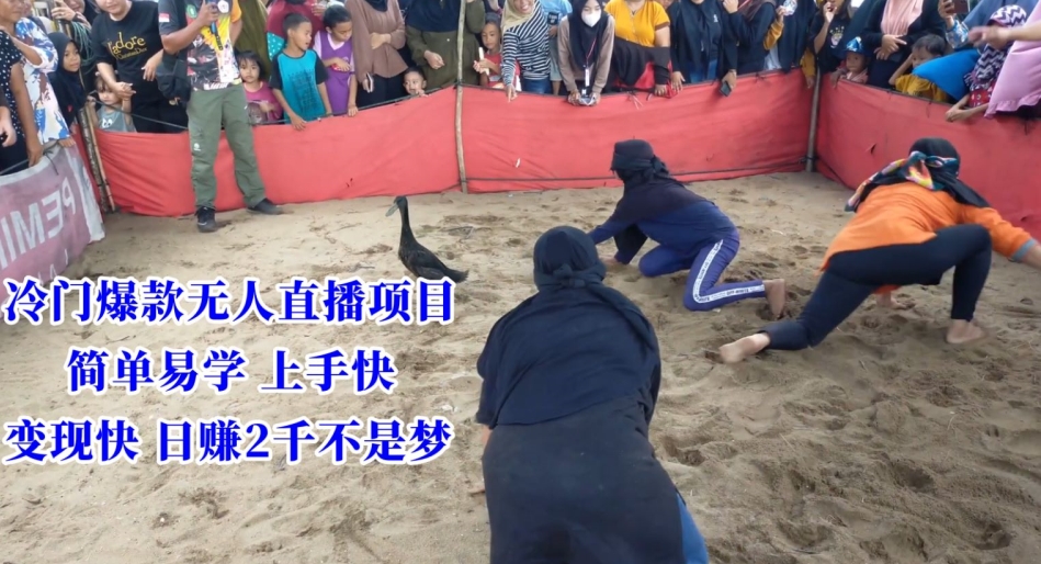 冷门爆款无人直播项目，简单易学上手快，变现快日赚2千不是梦【揭秘】-项目资源库