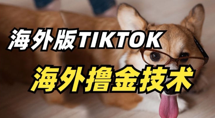 抖音海外版tiktok撸金技术,这个风口行业,赚钱真的不难【揭秘】