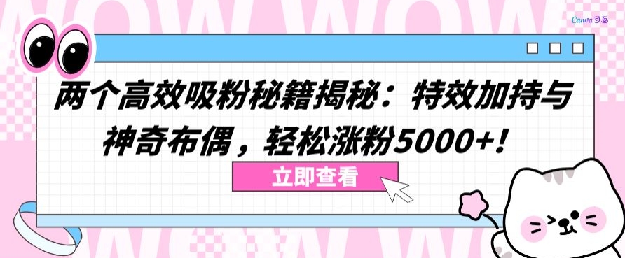 两个高效吸粉秘籍揭秘：特效加持与神奇布偶，轻松涨粉5000+【揭秘】-项目资源库