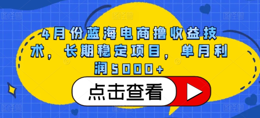 4月份蓝海电商撸收益技术，长期稳定项目，单月利润5000+【揭秘】-项目资源库