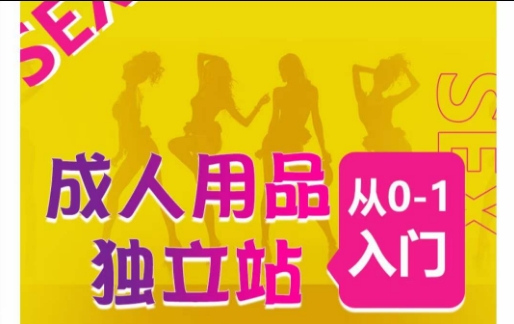 成人用品独立站从0-1入门，成品独立站运营全流程教学，七大好卖成品独立站推荐-项目资源库