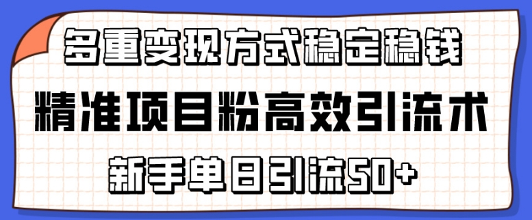 精准项目粉高效引流术，新手单日引流50+，多重变现方式稳定赚钱【揭秘】-项目资源库