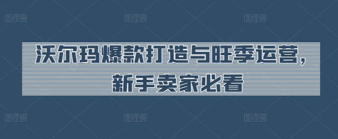 沃尔玛爆款打造与旺季运营，新手卖家必看-项目资源库