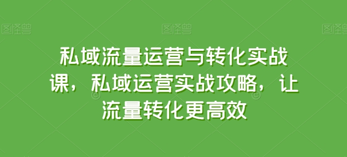 私域流量运营与转化实战课，私域运营实战攻略，让流量转化更高效-项目资源库
