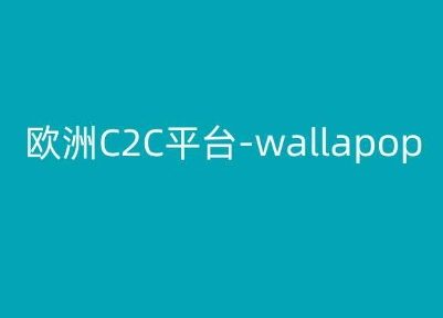 欧洲C2C平台-wallapop-kim跨境电商教程-项目资源库
