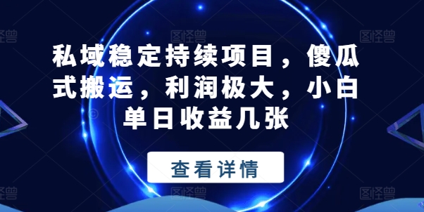 私域稳定持续项目，傻瓜式搬运，利润极大，小白单日收益几张【揭秘】-项目资源库