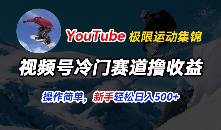 视频号冷门赛道撸收益,YouTube搬运极限运动集锦,暴力起号,操作简单流量高,轻松日入5张【揭秘】