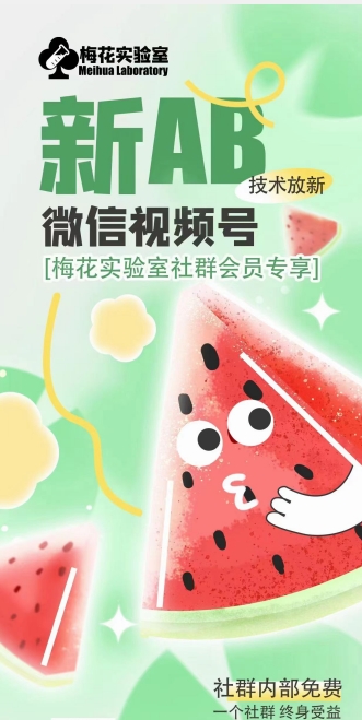 梅花实验室2024年AB技术视频号AB合成破解版-项目资源库