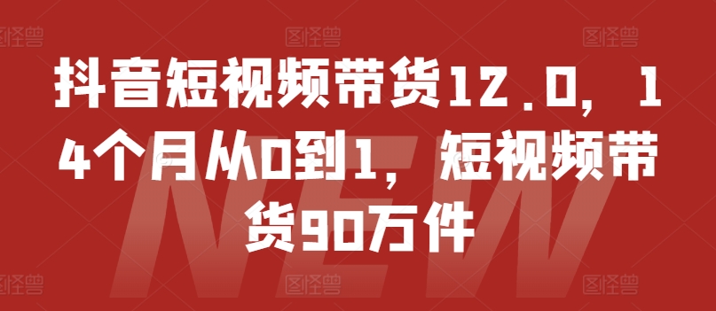 抖音短视频带货12.0，14个月从0到1，短视频带货90万件-项目资源库