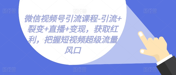 微信视频号引流课程-引流+裂变+直播+变现，获取红利，把握短视频超级流量风口-项目资源库