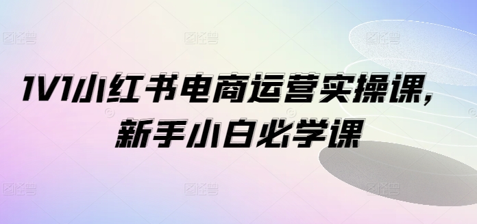 1V1小红书电商运营实操课，新手小白必学课-项目资源库