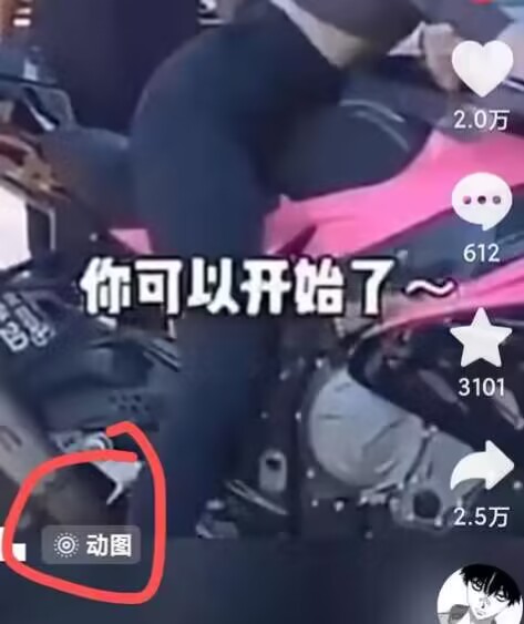 2024年7月苹果手机动图搬运技术-项目资源库