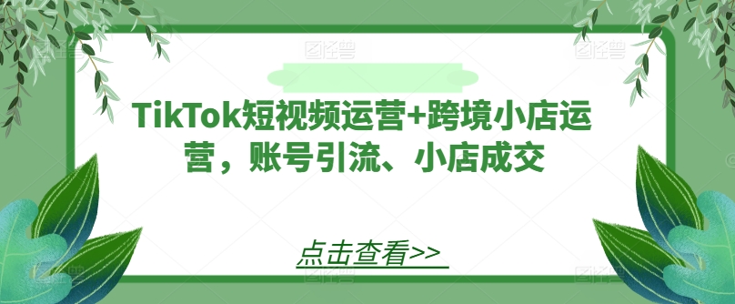 TikTok短视频运营+跨境小店运营，账号引流、小店成交-项目资源库