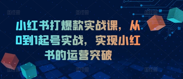 小红书打爆款实战课，从0到1起号实战，实现小红书的运营突破-项目资源库