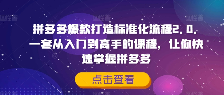 拼多多爆款打造标准化流程2.0，一套从入门到高手的课程，让你快速掌握拼多多-项目资源库