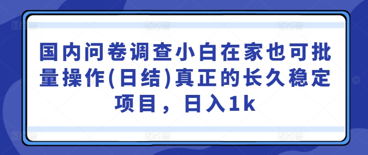 国内问卷调查小白在家也可批量操作(日结)真正的长久稳定项目，日入1k【揭秘】-项目资源库