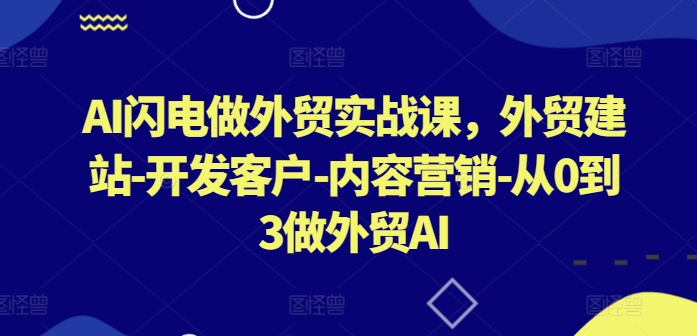 AI闪电做外贸实战课,外贸建站-开发客户-内容营销-从0到3做外贸AI(更新)